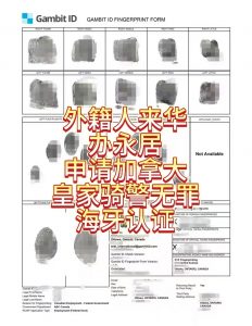 外国人来华办永居申请皇家骑警无罪海牙认证