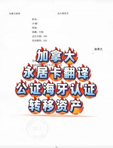 加拿大永居卡翻译公证海牙认证境外资产转移