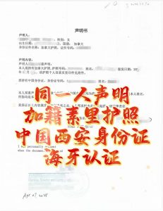 加国素里华人身份认证同一人声明书海牙认证