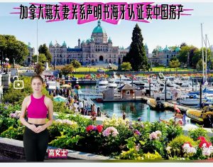 加拿大籍夫妻关系声明书海牙认证卖中国房产