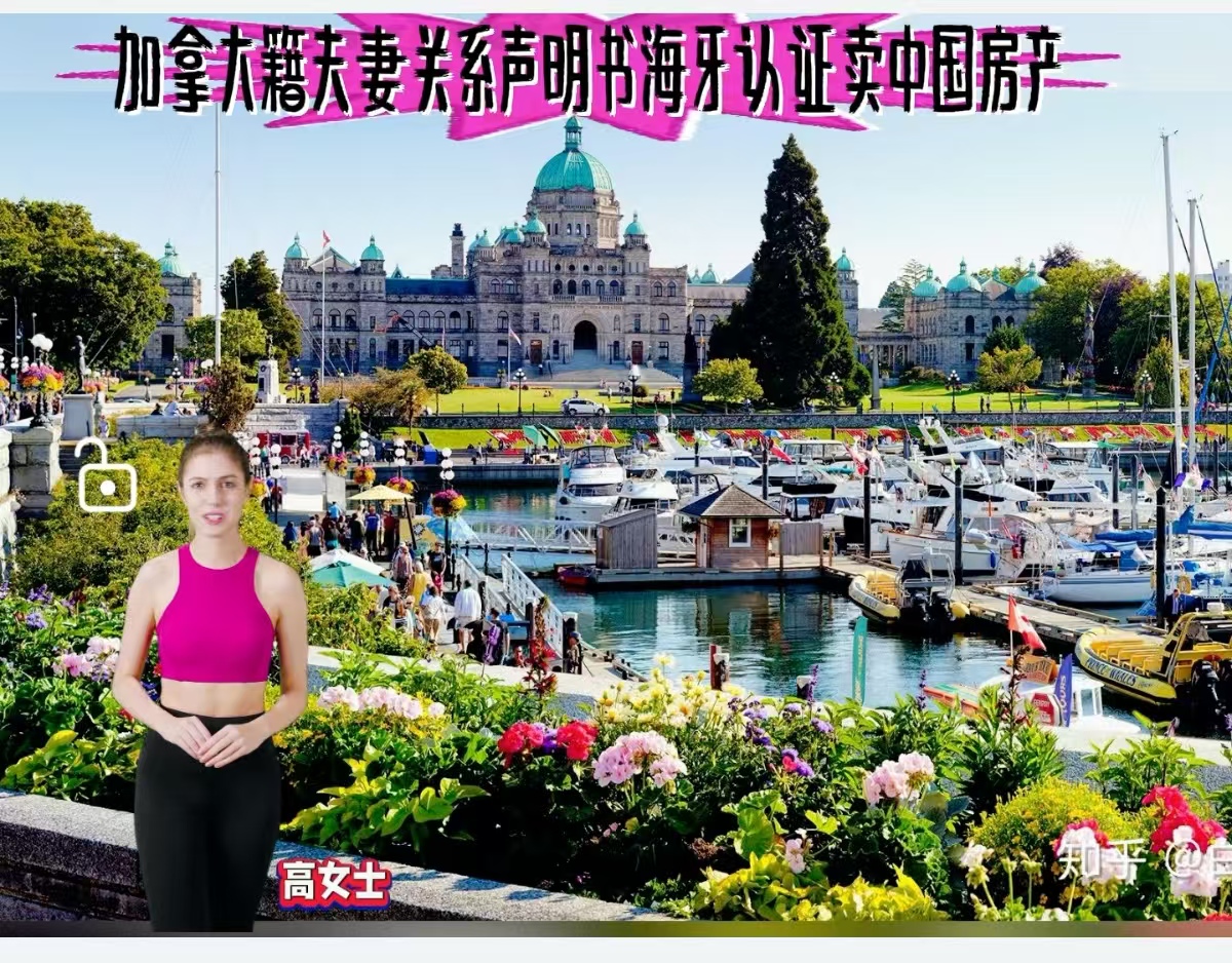 加拿大籍夫妻关系声明书海牙认证卖中国房产