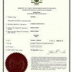 人在海外委托国内亲戚出售武汉房产海牙认证