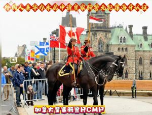 外国人来华办永居申请皇家骑警无罪海牙认证