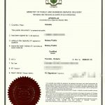 孩子学费补课医疗费用收据海牙认证诉讼抚养