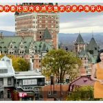 人在海外委托国内亲戚出售武汉房产海牙认证