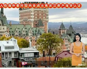 人在海外委托国内亲戚出售武汉房产海牙认证