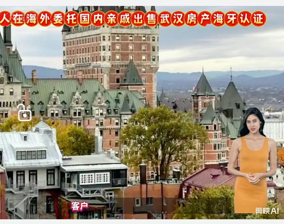 人在海外委托国内亲戚出售武汉房产海牙认证