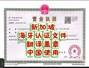 新加坡海牙认证文件翻译盖章中国使用