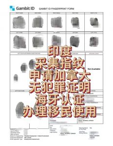 印度采集指纹申请加拿大无犯罪证明海牙认证