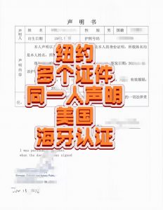 纽约多个证件同一人美国海牙认证回国股权变更