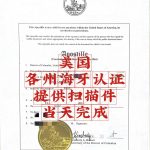 美国各州海牙认证只需提供扫描件办当天完成