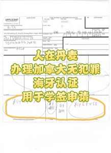 人在丹麦录指纹申请加拿大无罪证明海牙认证