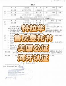 人在美国特拉华中国售房委托书公证海牙认证
