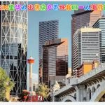 卡尔加里华人出售房产委托书同一人海牙认证