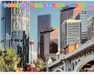 卡尔加里华人出售房产委托书同一人海牙认证