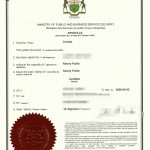 加拿大无犯罪证体检报告原件海牙认证捷克用