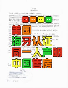 美国缅因护照中国身份证同一人声明海牙认证