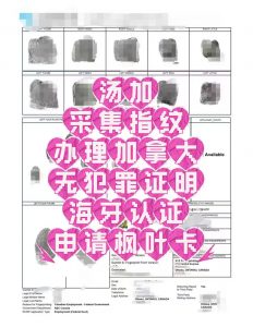 汤加采集指纹办加拿大无犯罪认证申请枫叶卡