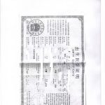 加拿大移民出生证翻译公证亲属关系海牙认证