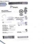 安省出生证加拿大翻译公证海牙回国落户上学