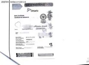 安省出生证加拿大翻译公证海牙回国落户上学