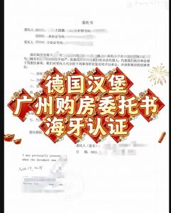 人在德国汉堡购买广州房产委托书海牙认证