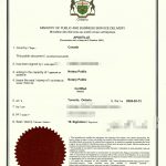 北京银行账户换卡密码重置网银开通海牙认证