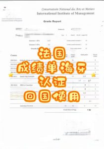 法国成绩单远程办理海牙认证回国使用