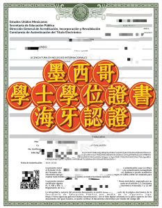 墨西哥学士学位证书海牙认证跨国办理