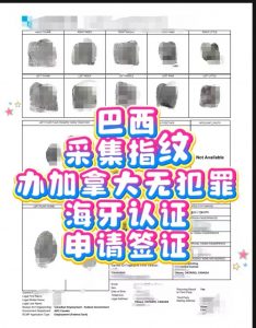 巴西釆集指纹办加拿大无罪海牙认证远程服务