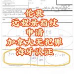 伦敦华人远程申请加拿大无犯罪海牙认证移民