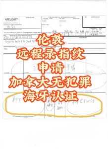 伦敦华人远程申请加拿大无犯罪海牙认证移民