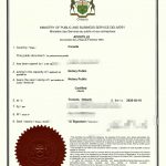 土耳其人加拿大新斯科舍省死亡证明海牙认证