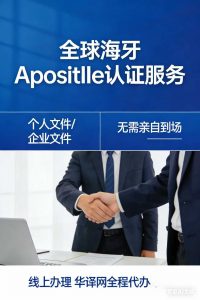 全球海牙 ApositIIe 无需亲自到场线上办理
