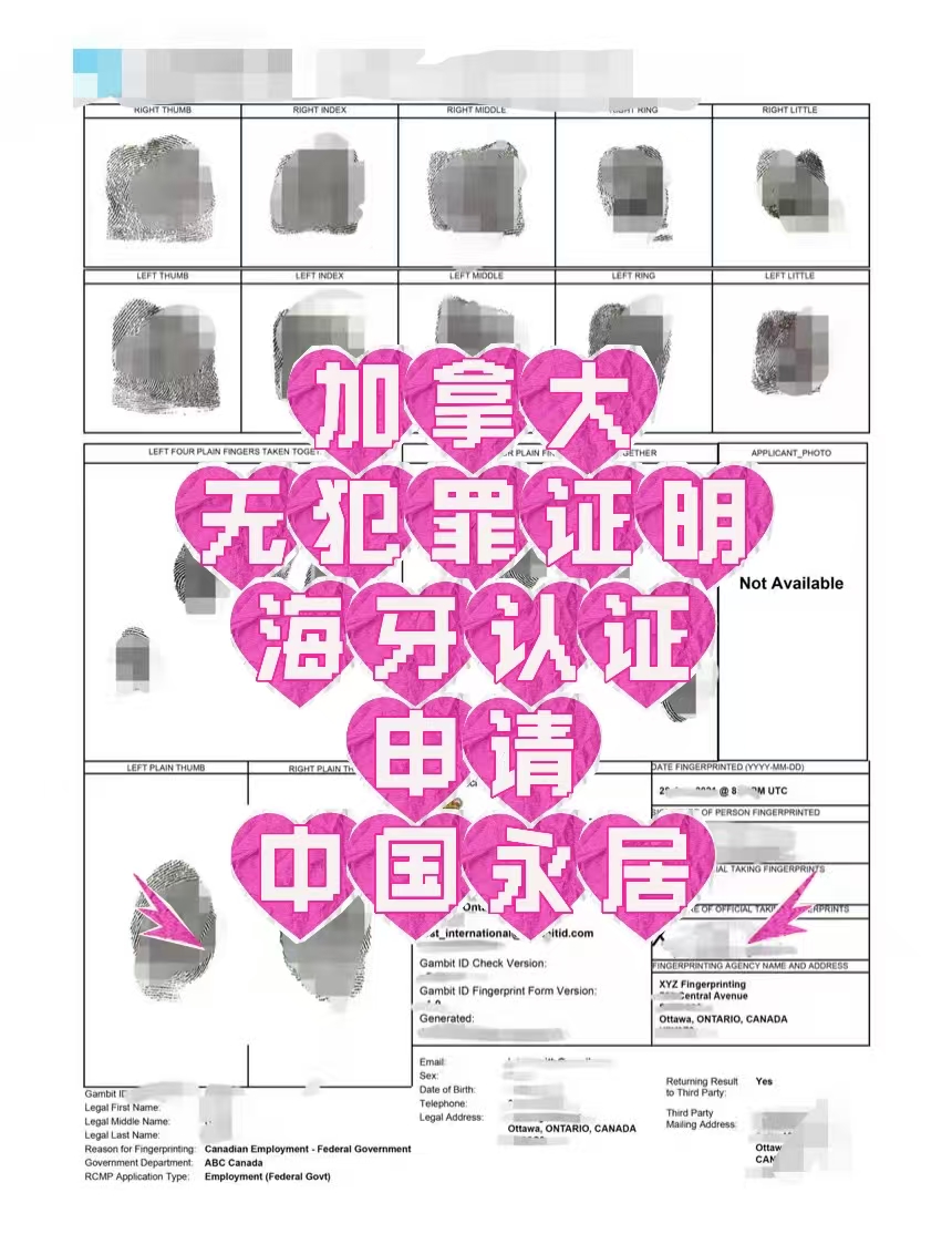 加籍华人办中国永居指纹采集无犯罪海牙认证