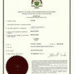 加拿大籍人士购房委托书海牙认证附加证明