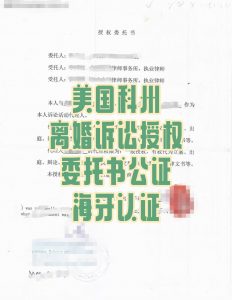 美国科州华人远程离婚诉讼委托公证海牙认证