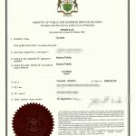 加拿大万锦单身证明声明书海牙认证登记结婚