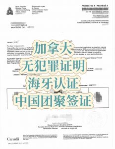 埃德蒙顿申请中国团聚签证加拿大无犯罪海牙