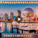 加拿大万锦单身证明声明书海牙认证登记结婚