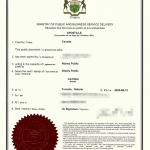 加籍华人办理亲属关系声明海牙认证回国落户