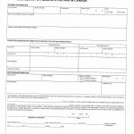 CUSTODIANSHIP DECLARATION监护人公证空白表格