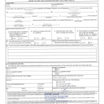 COMMON LAW 公证书样本 20212045