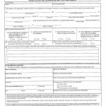 Statutory Declaration of Common-law Union 空白表格