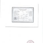 加拿大ATIO认证翻译样稿：结婚证 出生证 收入证明