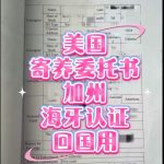 美国儿童寄养委托书加州海牙认证代办流程