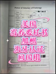 美国儿童寄养委托书加州海牙认证代办流程