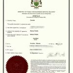 人在加拿大授权委托书海牙认证全程代办服务