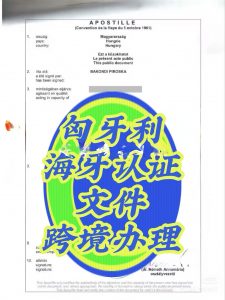 匈牙利文件回国用海牙认证翻译一站式解决