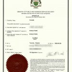 加拿大学历证书翻译公证海牙认证回国工作